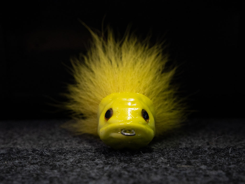 Turbo Perch - "TASSONI" Edition