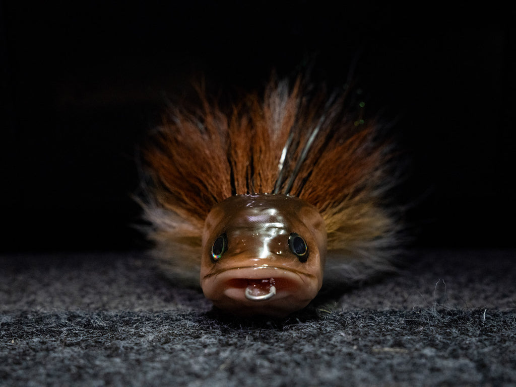 Turbo Perch - "SPECIAL 1" Edition